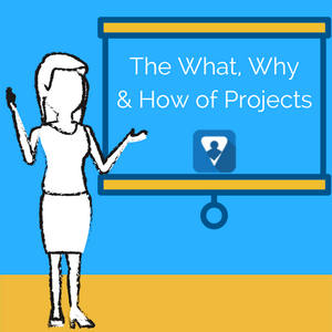 The What, Why, and How of Projects